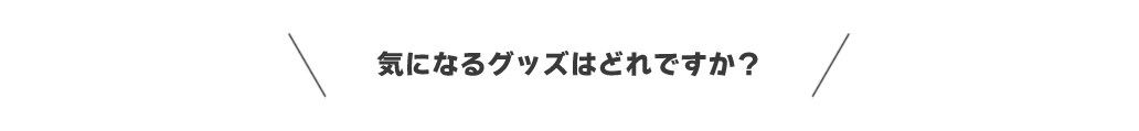 ２０１９年１２月の新作グッズは３種類！